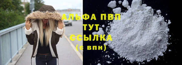 шишки Волоколамск