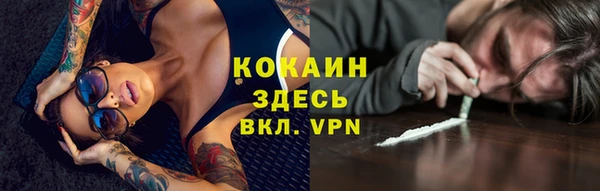 тгк Володарск